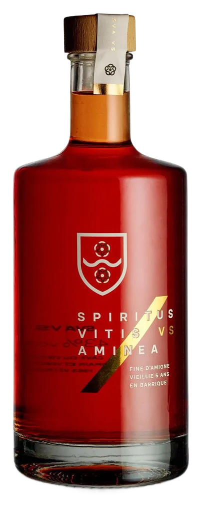 '' SPIRITUS VITIS AMINEA ''