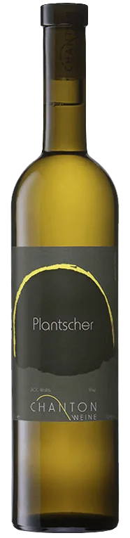 Plantscher