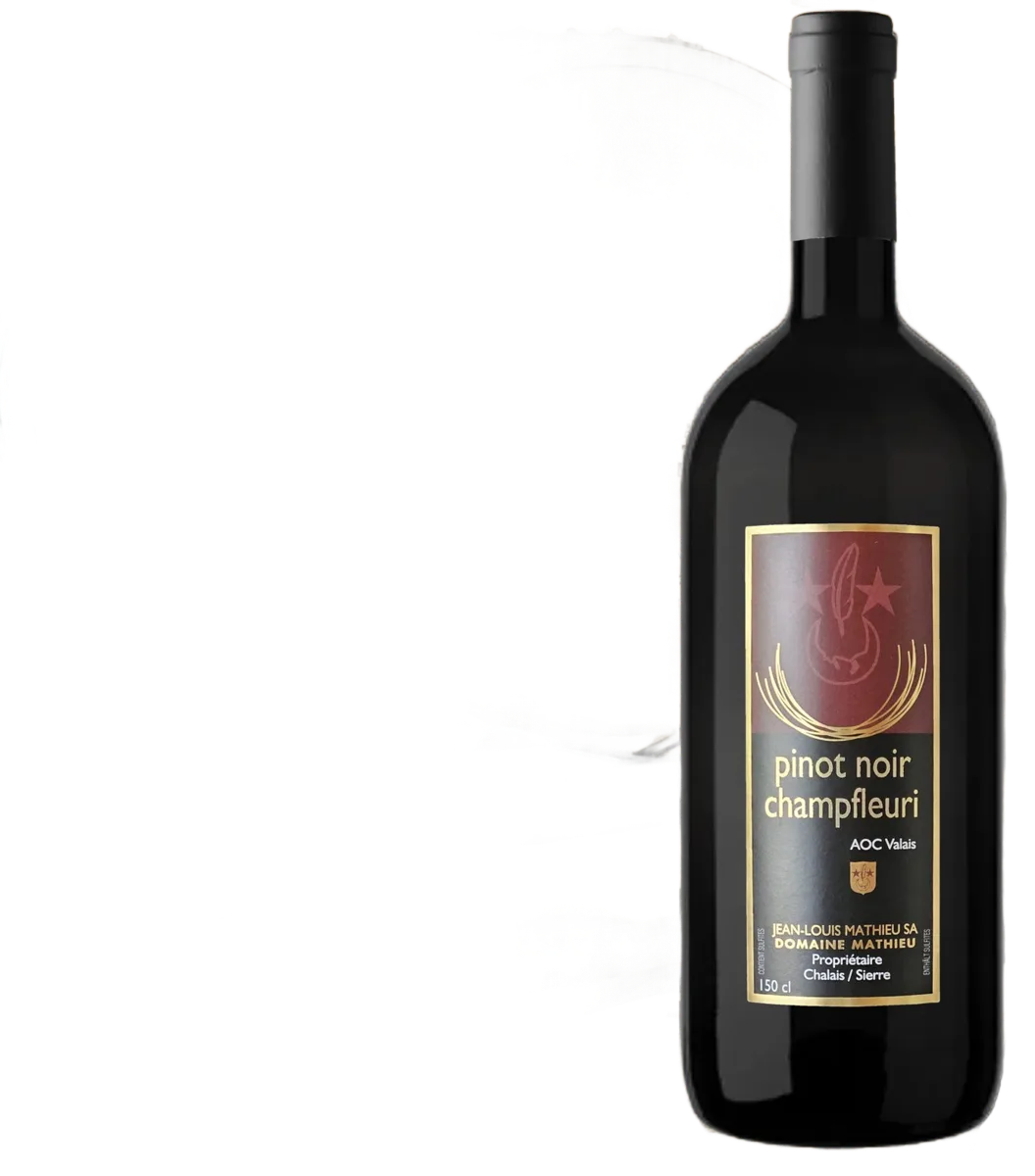 Magnum de PINOT NOIR CHAMPFLEURI
