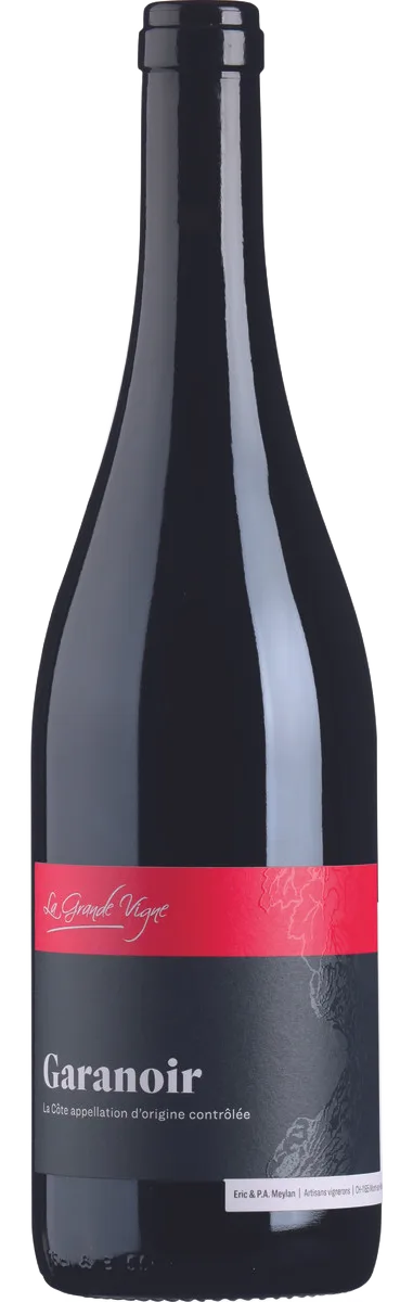 Garanoir