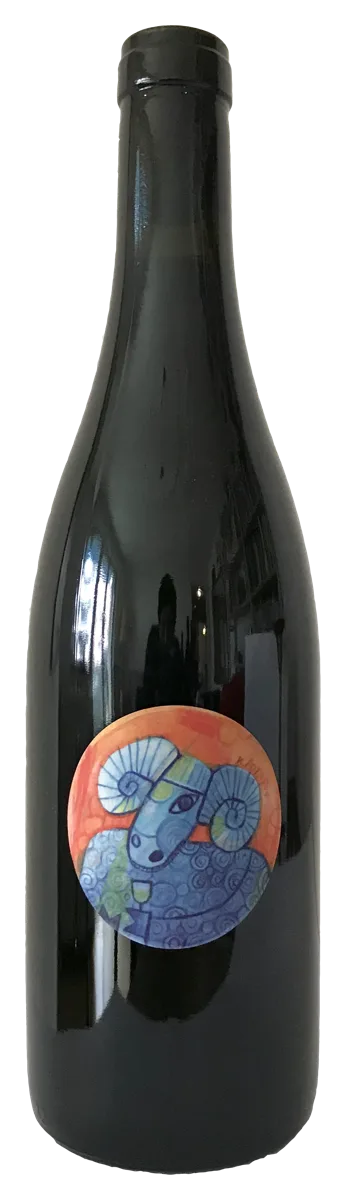 Sauvignon Blanc Echo 2023