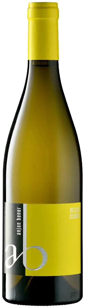 Riesling Silvaner 2025