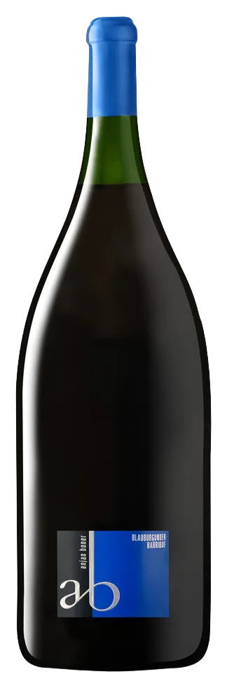 Blauburgunder Barrique 2020 Methusalem (6.0 l)