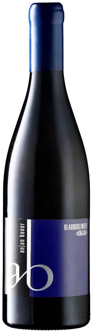 Blauburgunder «Umami» 2023