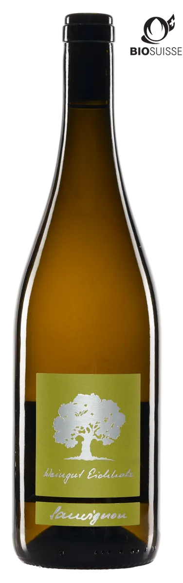 Sauvignon Blanc