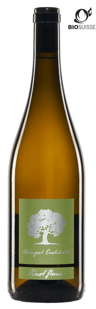 Pinot Blanc