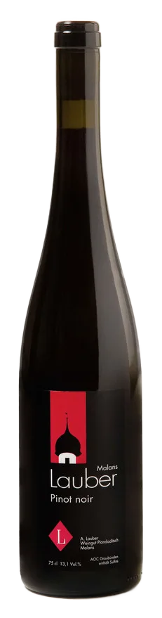 PINOT NOIR 2024