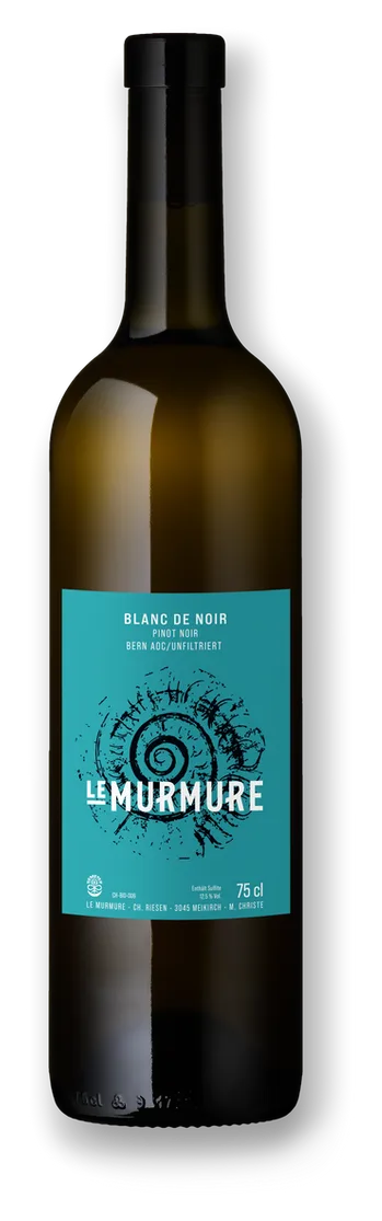Blanc de Noir Amphore 2024