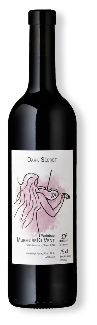 Dark Secret 2021