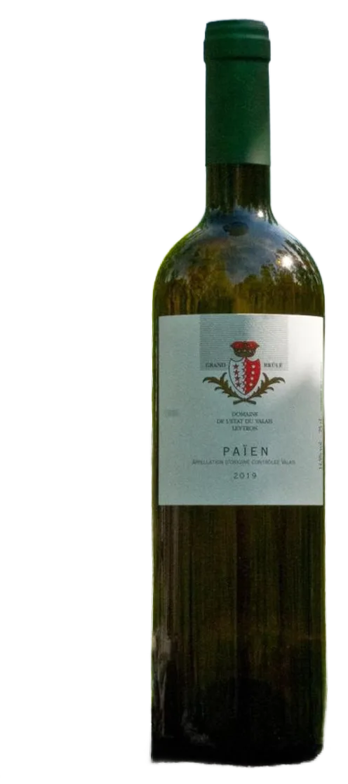 Païen