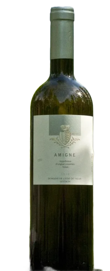 Amigne