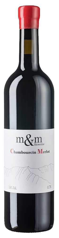 Chambourcin-Merlot BIO Amphora 2025