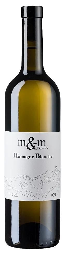 Humagne Blanche BIO Amphora 2025