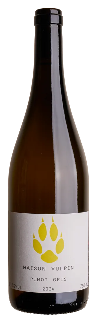 PINOT GRIS 2024