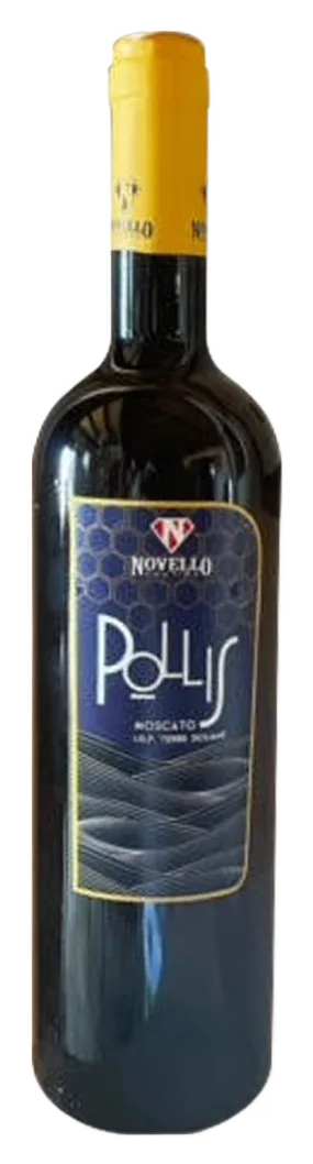 Pollis
