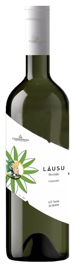 Lausu