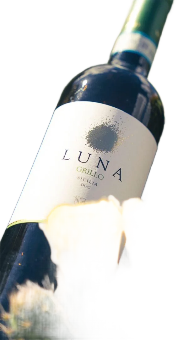 Linea Luna