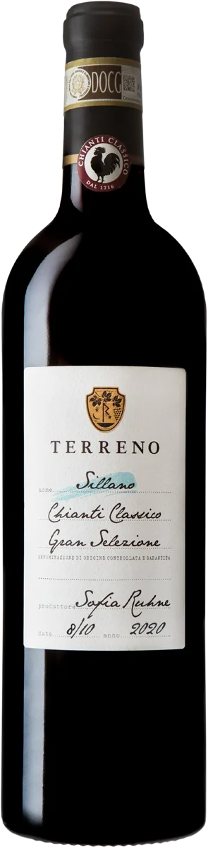 TERRENO SILLANO 2020