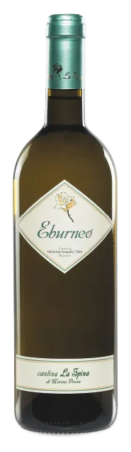 Eburneo