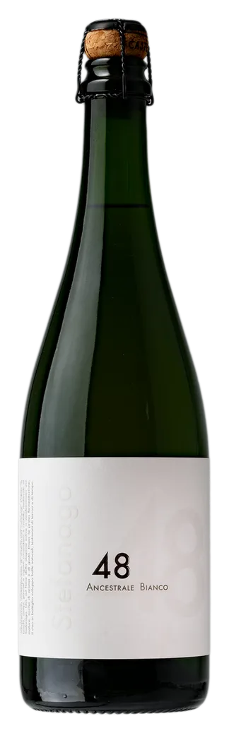 Stefanago 48 Spumante Bianco