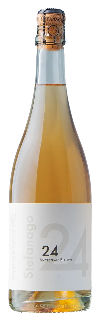 Stefanago 24 Spumante Bianco