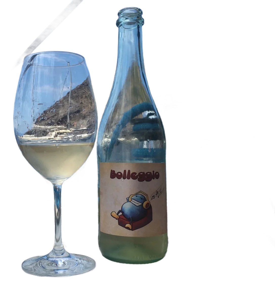 Bolleggio
