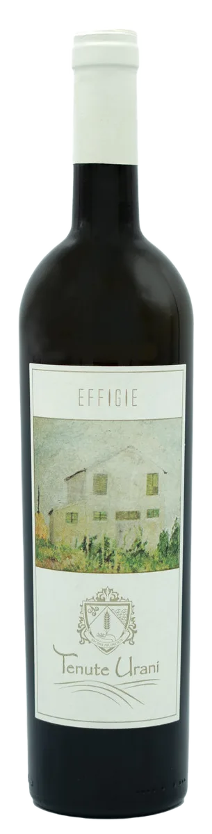 Effigie, vino Marche Bianco IGT
