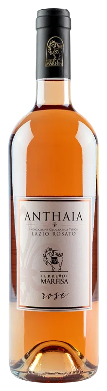 Zamathi Anthaia