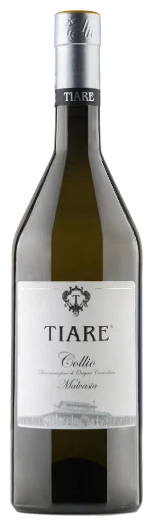 Malvasia