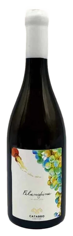 Falanghina in Anfora
