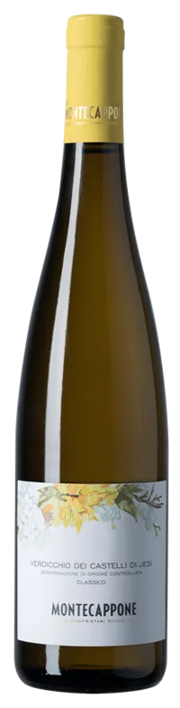 Verdicchio dei Castelli di Jesi