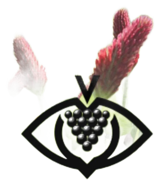 2025 Bio – Souvignier gris feinherb