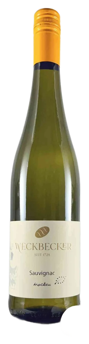 2025 Bio – Sauvignac trocken