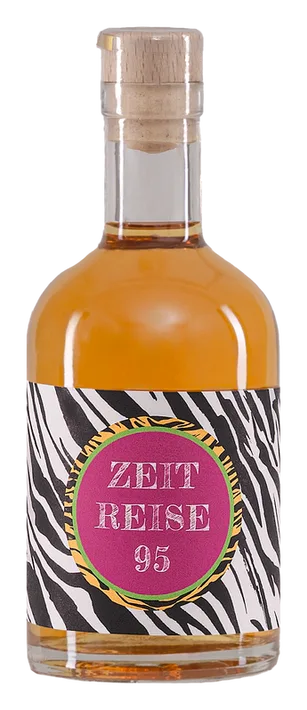 ZEITREISE 95