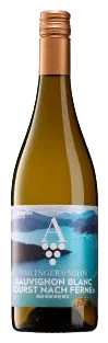 2025er Sauvignon Blanc trocken