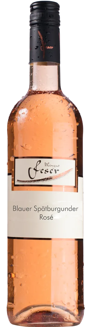 WT 20 Blauer Spätburgunder Rosé – Trocken