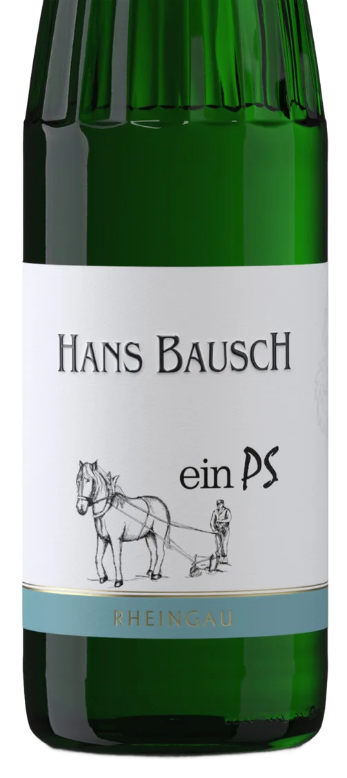2024 Hattenheimer Hassel Riesling feinherb "1PS"
