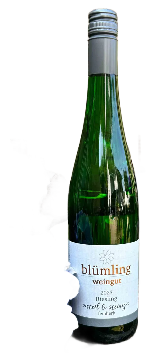 2025 RIESLING „steil & steinig“ feinherb