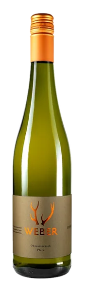 2025 Sauvignon Blanc Buntsandstein trocken