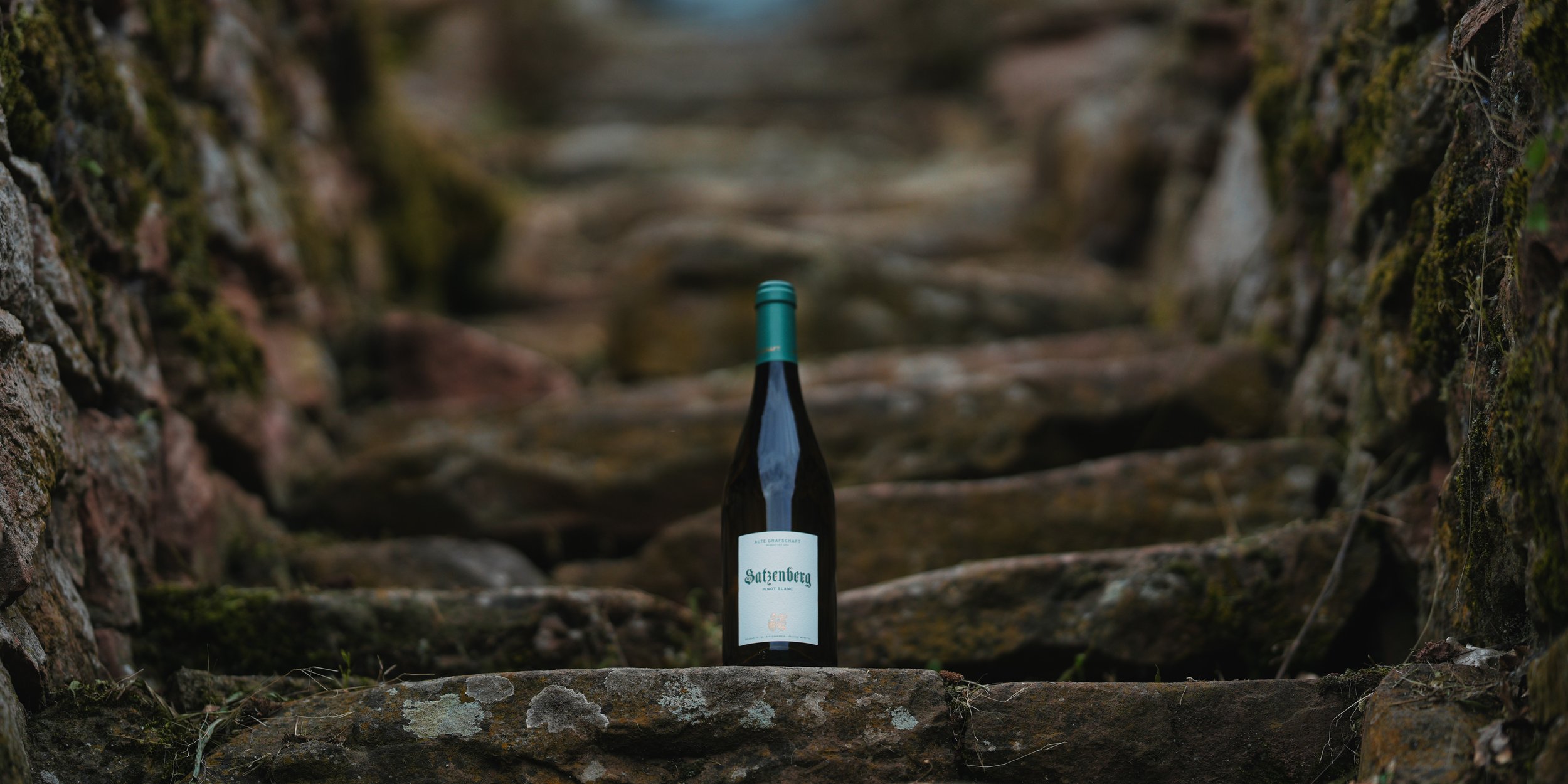 Satzenberg Pinot Blanc