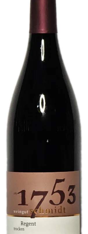 2019 Regent Rotwein trocken