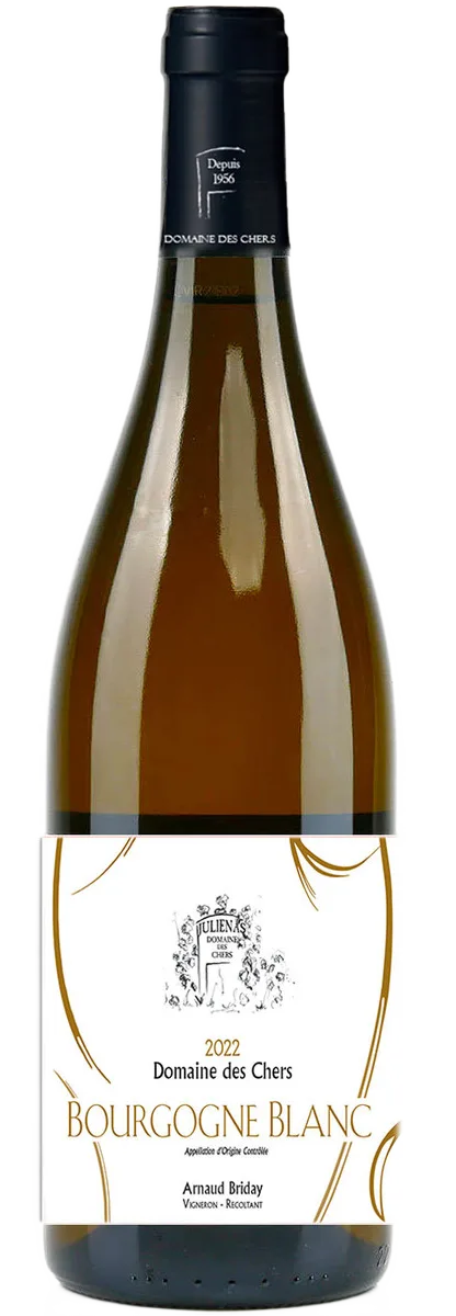 Bourgogne Blanc 2024