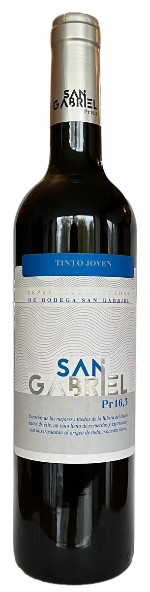 Bodega San Gabriel Joven