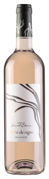 Péché de Vigne 2025 – Rosé AOP Gaillac