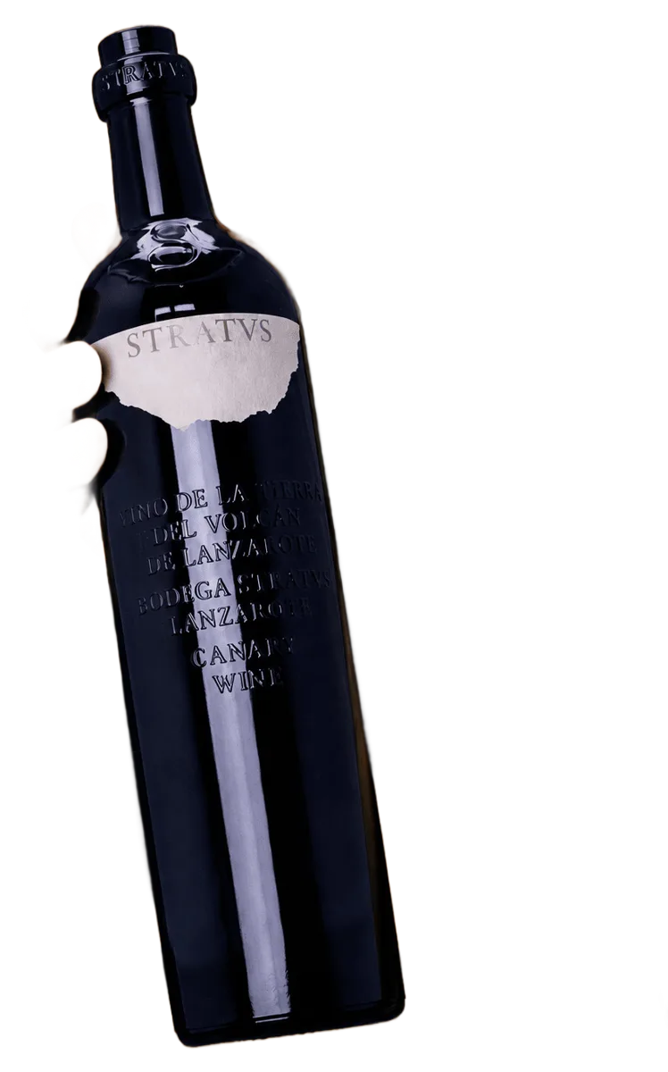 Tinto Joven Maceración Carbónica