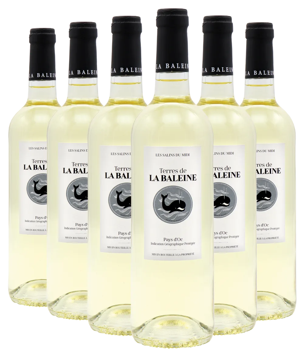 Blanc Terres de La Baleine