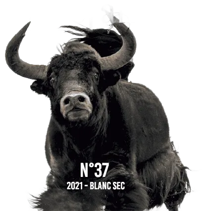 N°37 - Blanc Sec