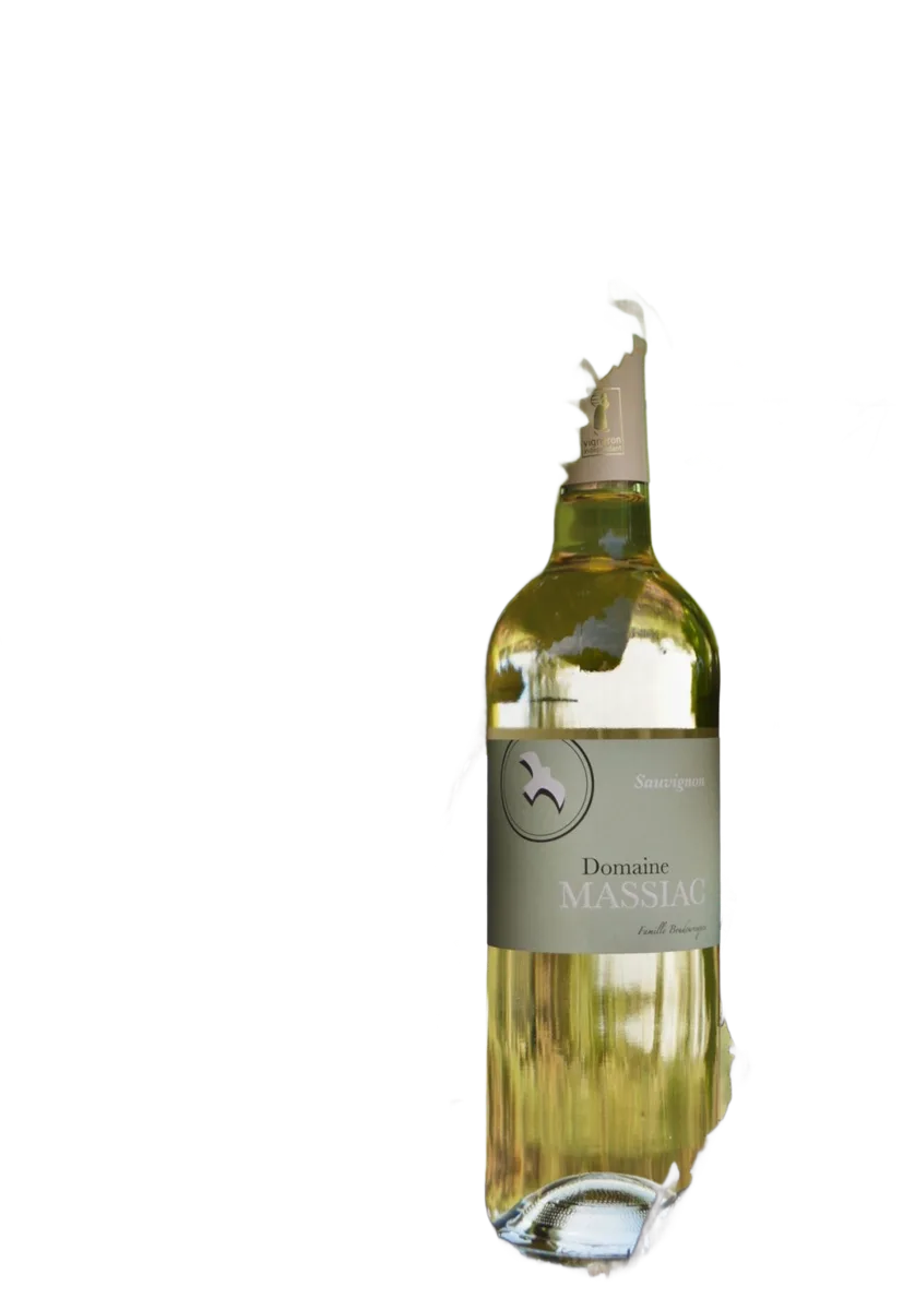 Sauvignon