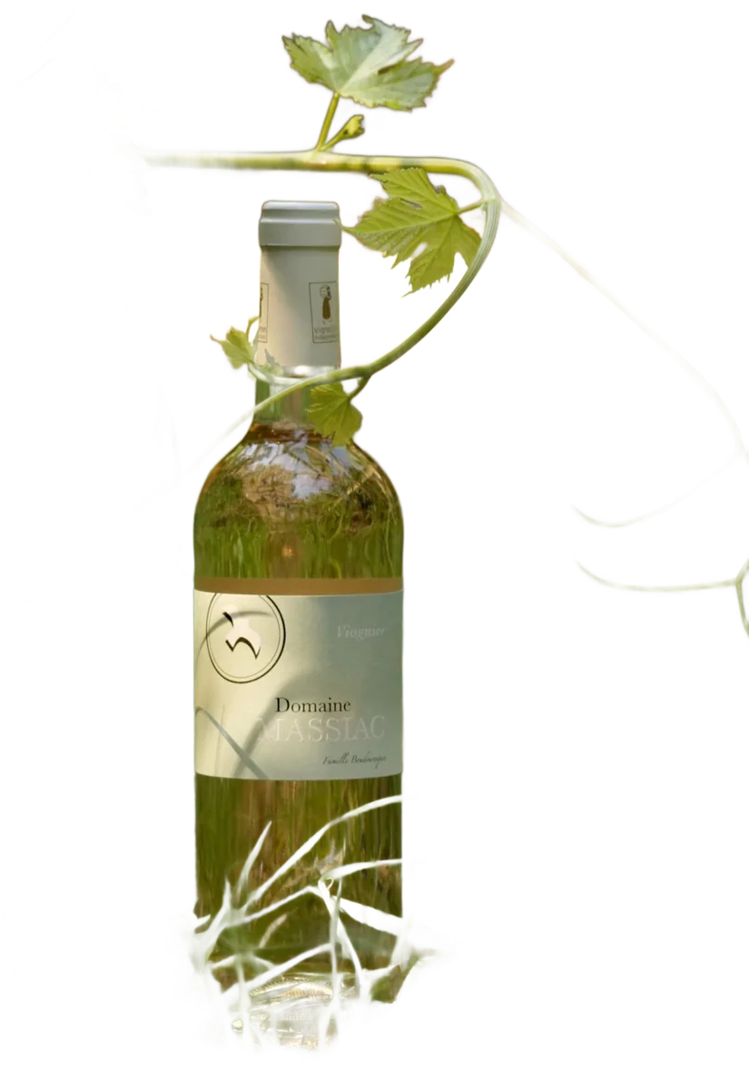 Viognier