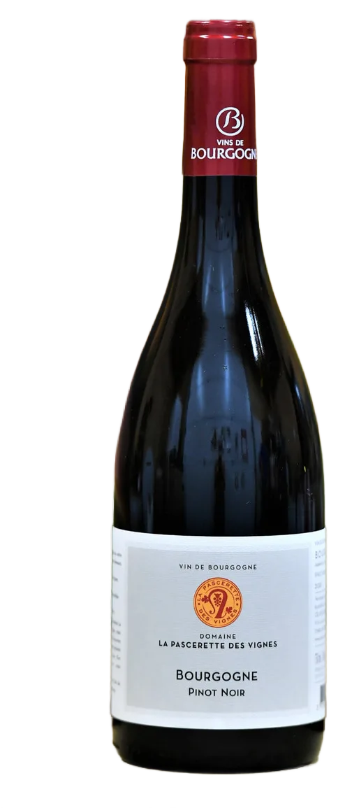 Rouge - Bourgogne Pinot Noir 2024 X 6